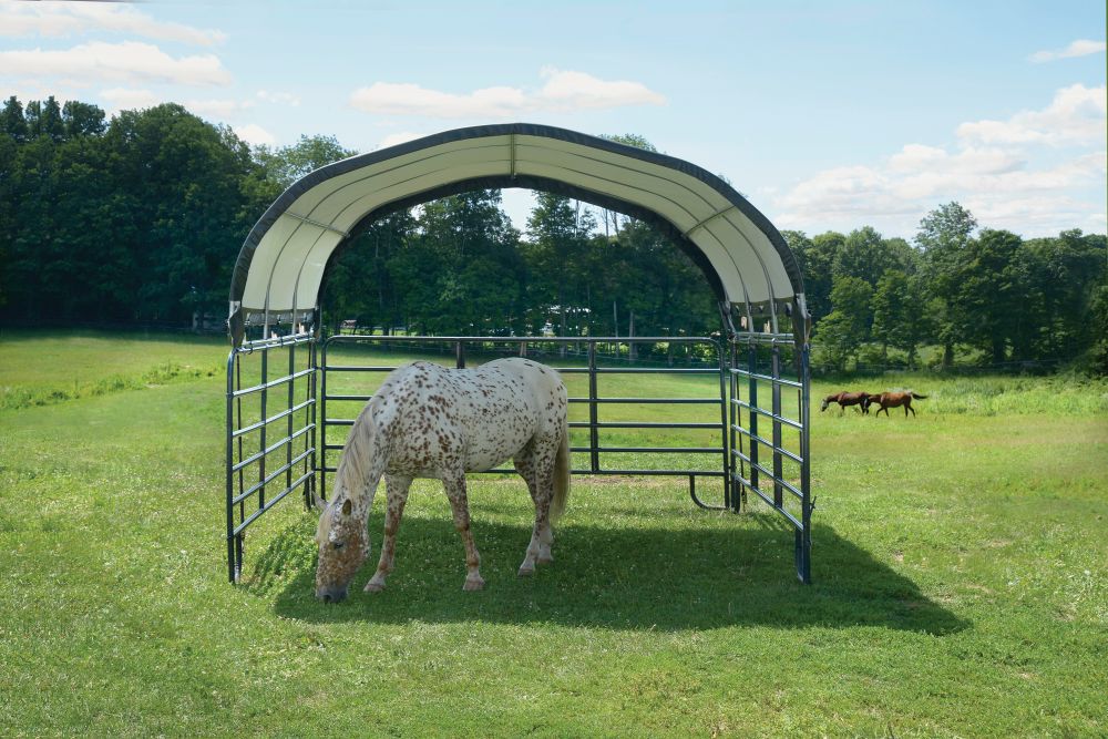 ShelterLogic Weidezelt Überdachung 13,7 m²