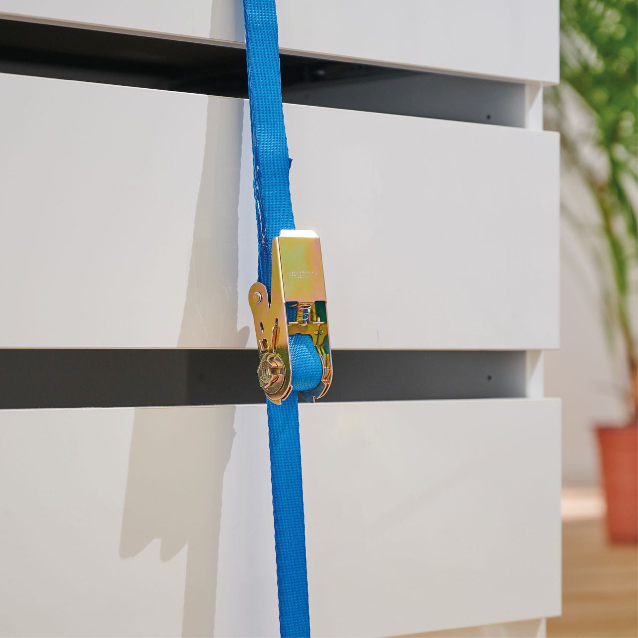 WAGNER Zurrgurt mit Ratsche 5 m MM 1017