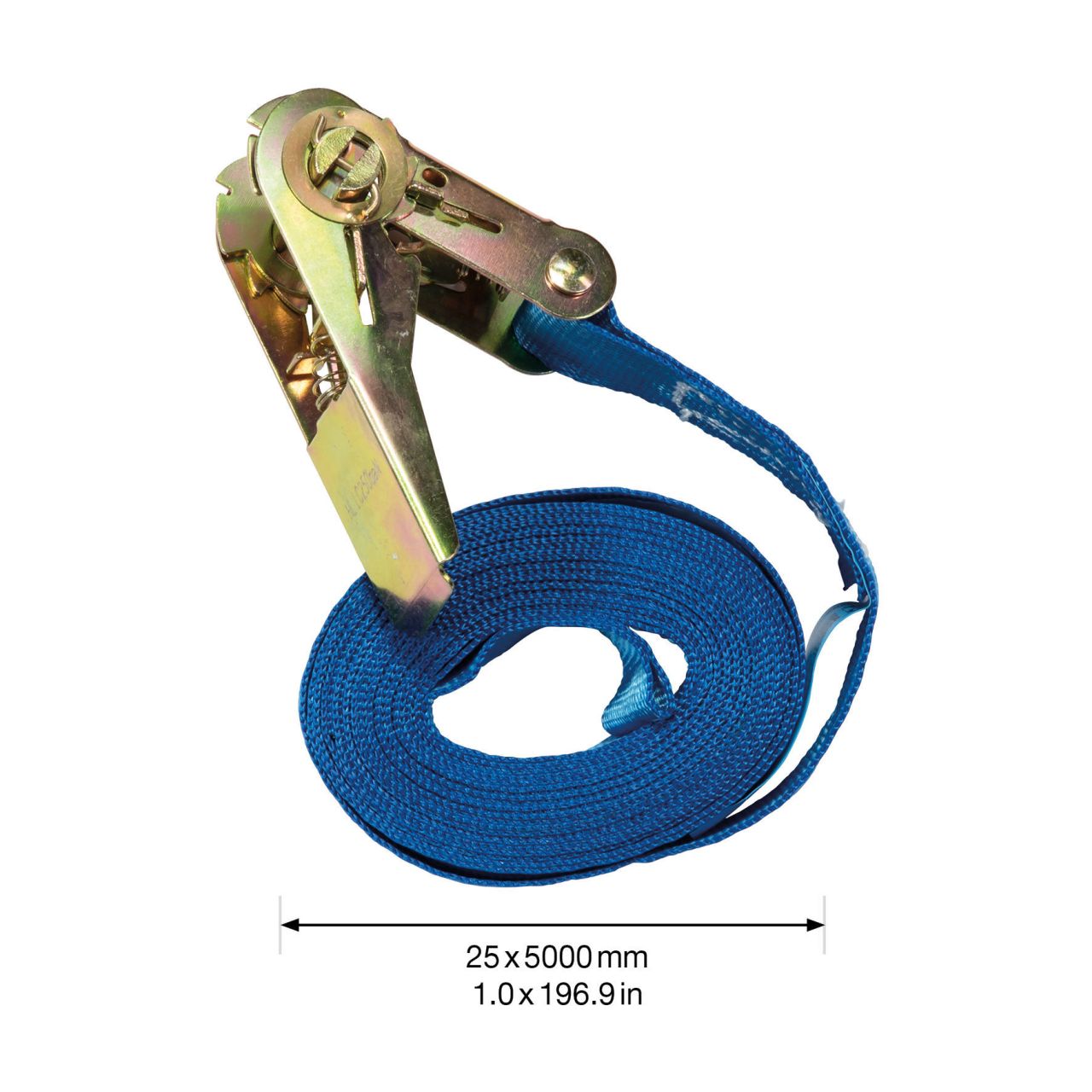 WAGNER Zurrgurt mit Ratsche 5 m MM 1017